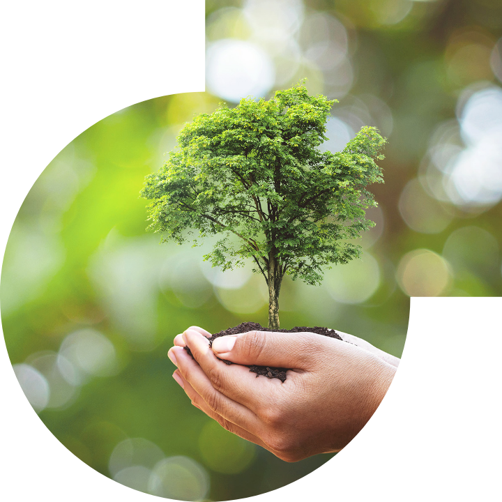 关怀人类、文化、环境与社会